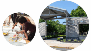 Big Changes Coming to Mill Lake Park Abbotsford’s 20-Year Vision Unveiled